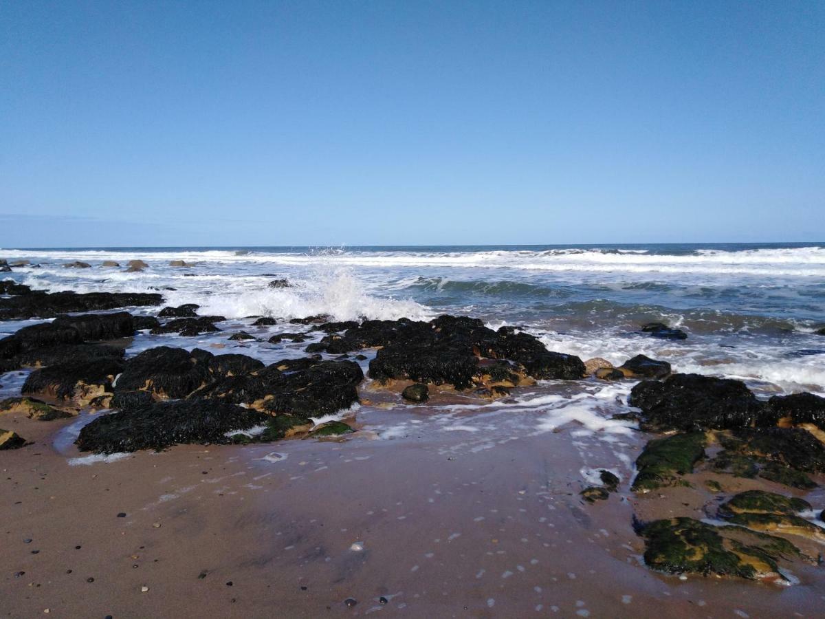 Deerness, 4star Gold Award 2024, Holiday home *